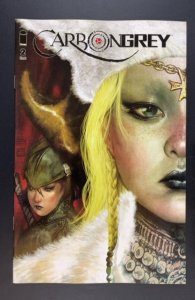 Carbon Grey #2 (2011)