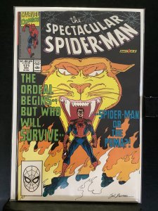 The Spectacular Spider-Man #171 (1990)