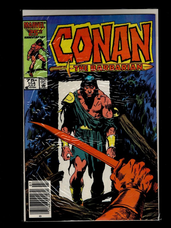 Conan the Barbarian #174,175,176,177,178,179,181,182,183,184 (1985)