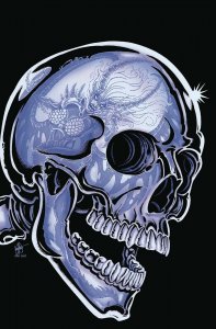 HELL SONJA #2 1:11 TMNT HOMAGE HAESER VIRGIN VARIANT DYNAMITE 2022 EB221