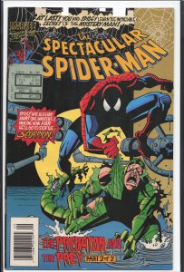 The Spectacular Spider-Man #216 (1994) Spider-Man