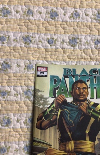 Black panther #25