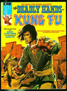 The Deadly Hands of Kung Fu #4 NM- 9.2