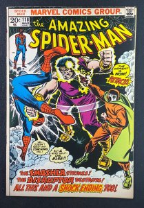 Amazing Spider-Man (1963) #118 VF (8.0) Death Smasher