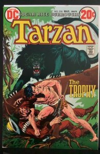 Tarzan #218 (1973)