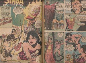 Tarzan(DC)  # 231 The Original 100 pager