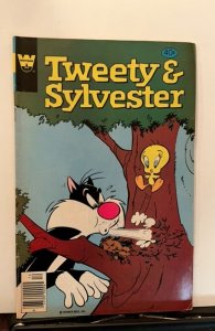 Tweety and Sylvester #100 (1979)