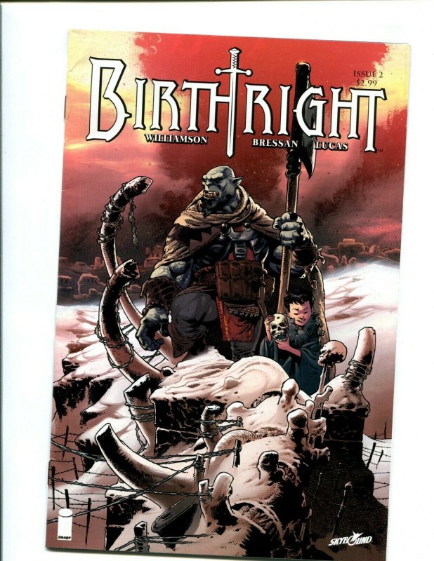 BIRTHRIGHT #2 (9.2) 2014