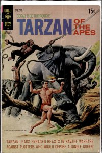 Edgar Rice Burroughs' Tarzan #203 (1971)