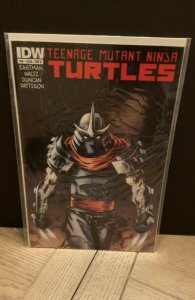 Teenage Mutant Ninja Turtles #10 (2012)