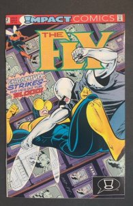 The Fly #2 (1991)