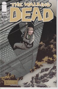 Image! The Walking Dead #113! Great Looking Book! Great Looking Book!