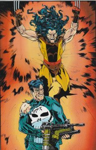 Wolverine and the Punisher: Damaging Evidence #2 (1993)