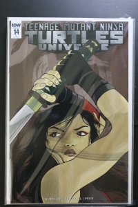 Teenage Mutant Ninja Turtles Universe #14 (2017)