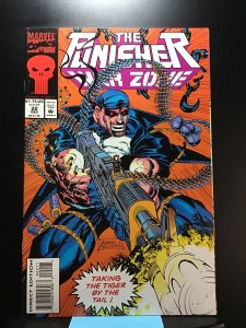 The Punisher: War Zone #22  (1993)
