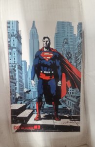 Superman Red and Blue #3 Leon Cover (2021)