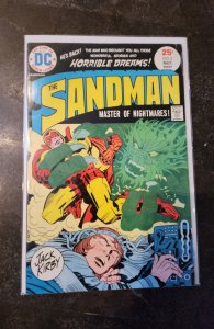 The Sandman #2 (1975)