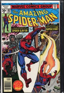The Amazing Spider-Man #167 (1977) Spider-Man