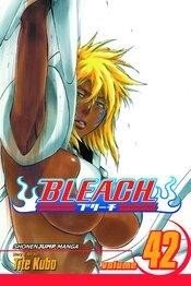 Bleach Vol 42 Viz Media LLC 2012 GN