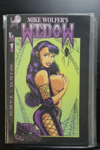 Widow: Metal Gypsies #1 (1995)