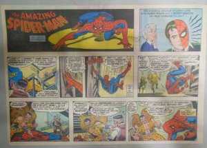 Spiderman Sunday by Stan Lee & John Romita from 12/11/1977 Size: 11 x 15 inches