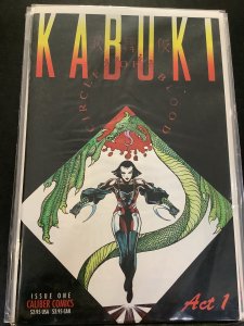 Kabuki: Circle Of Blood #1 (1995)