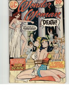 Wonder Woman #207 (1973) Wonder Woman