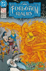 Forgotten Realms (DC) #25 FN ; DC | TSR Last Issue