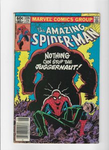 The Amazing Spider-Man, Vol. 1 229