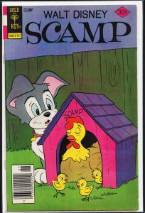 Scamp #36 (1977)