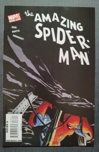 The Amazing Spider-Man #578 (2009)