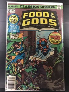 Marvel Classics Comics #22 (1977)j