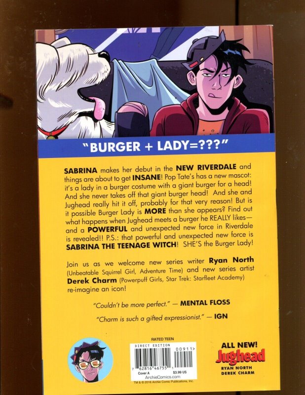 Jughead #9 - Derek Charm Cover Art! (9.0/9.2) 2016