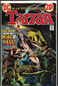 Edgar Rice Burroughs' Tarzan #215 (1972)