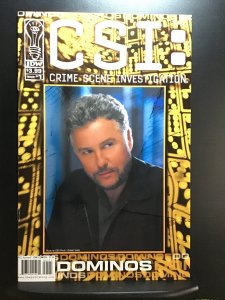 CSI: Dominos #1  (2004)