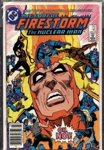 The Fury of Firestorm #45 (1986) Firestorm