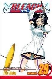 Bleach Vol 29 Viz Media LLC 2009 GN