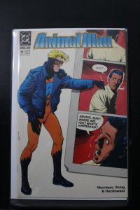 Animal Man #19 (1990)