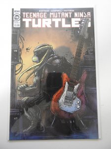 Teenage Mutant Ninja Turtles #116 Cover B