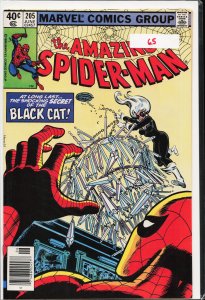 The Amazing Spider-Man #205 (1980) Spider-Man