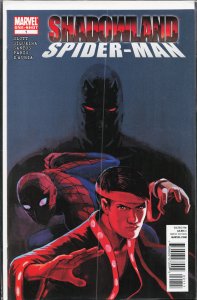 Shadowland: Spider-Man (2010) Spider-Man