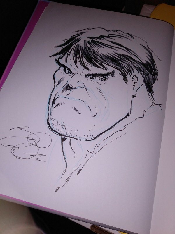 2013 Molly Danger Book One Signed Jamal Igle HC Kickstarter Print Sketch Inside