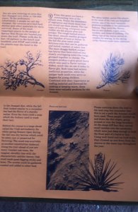 Spruce tree House booklet(Mesa verde-Anasazi ruins)