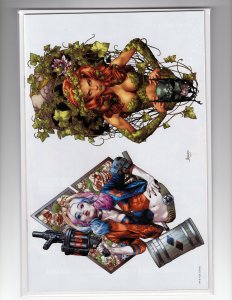 Harley Quinn & Poison Ivy #1 Anacleto Cover C (2019) / MC#40