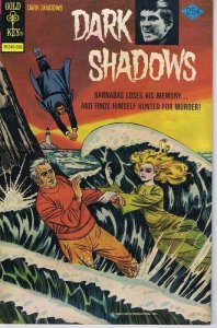 Dark Shadows #32 ORIGINAL Vintage 1975 Gold Key Comics