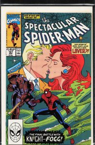 The Spectacular Spider-Man #167 (1990) Spider-Man