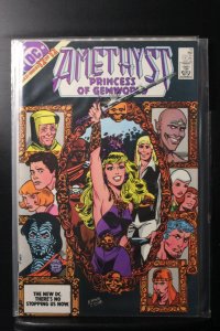 Amethyst, Princess of Gemworld #12 Direct Edition (1985)