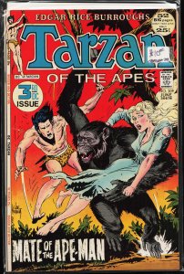 Edgar Rice Burroughs' Tarzan #209 (1972)