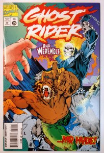 Ghost Rider #55 (8.0, 1994)