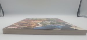 Incredible Hulk Visionaries Peter David Volume 4 TPB  2007 Marvel Comics